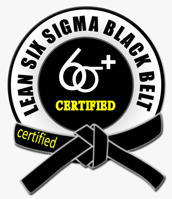 lean six sigma black belt vs green belt
