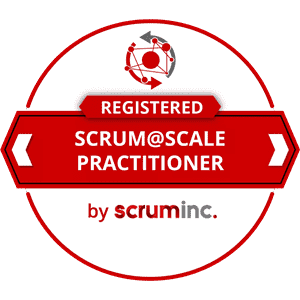 scrum@scale>
                                </div>
                                <div class=